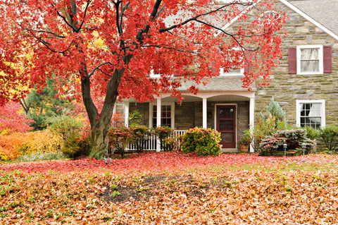 Getting Your Property Ready for Winter: Essential Fall Preparations