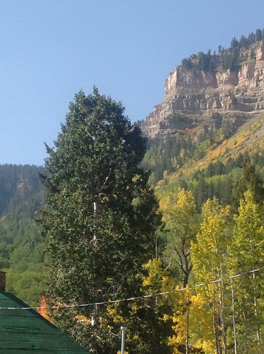 Embracing the Magic of Fall: Balloons, Fairs, and Festive Feasts