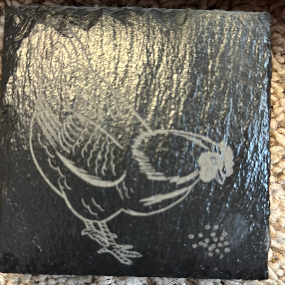Coasters - Chicken Eating Scratch