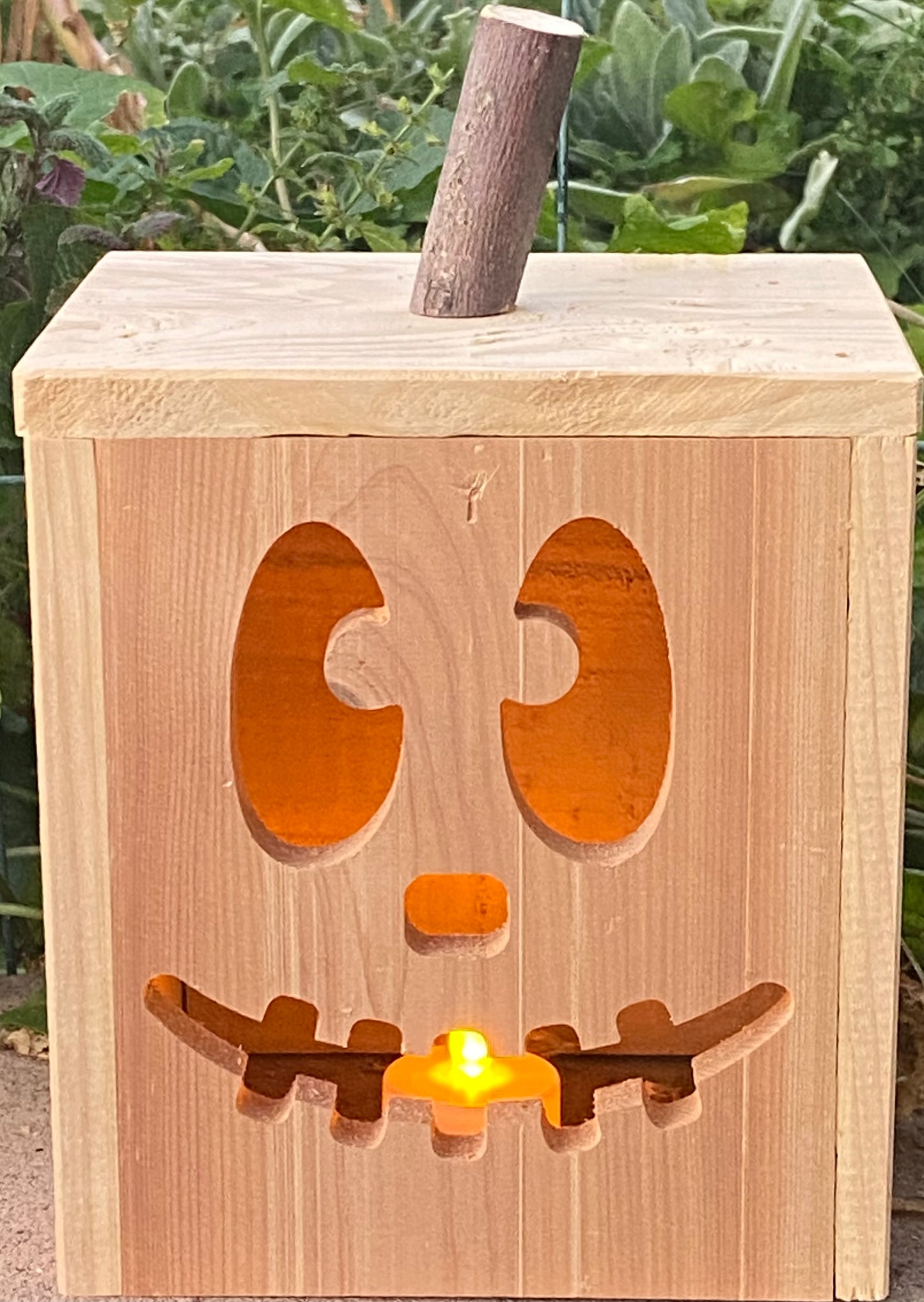 Jack-O-Lantern Face 6