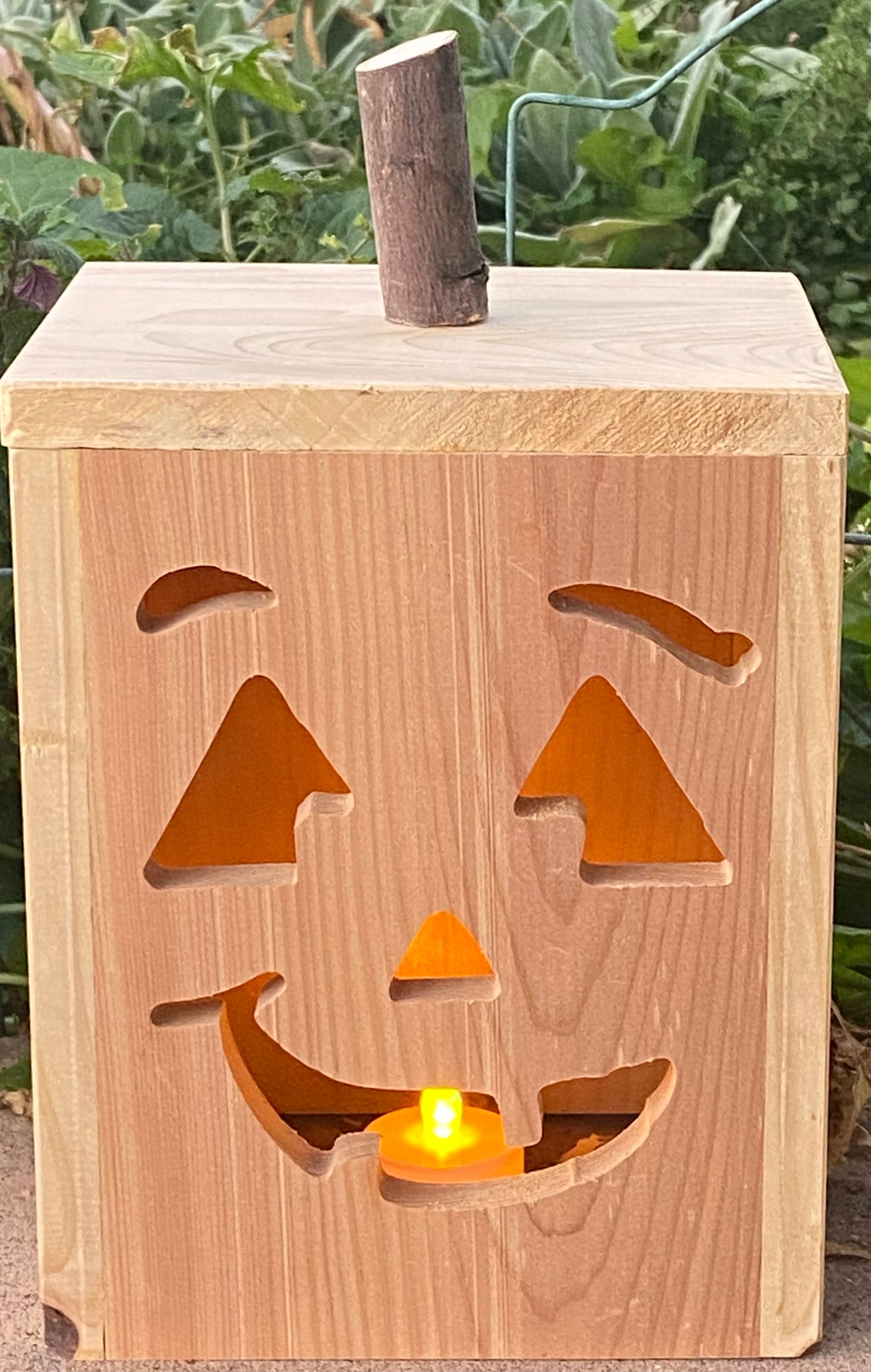 Jack-O-Lantern Face 3