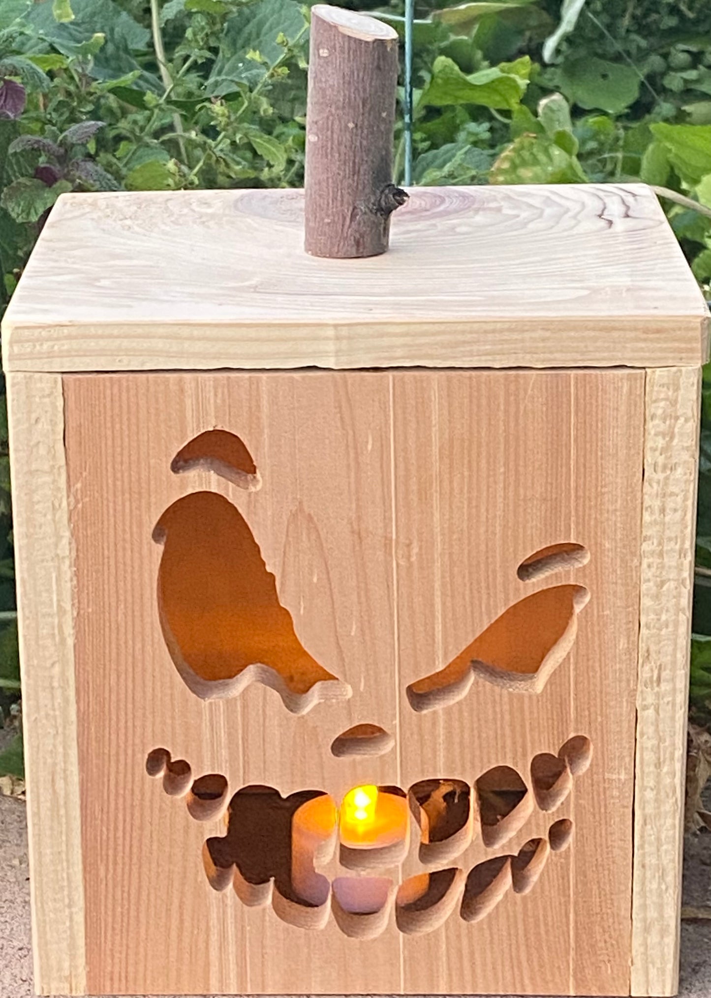 Jack-O-Lantern Face 4