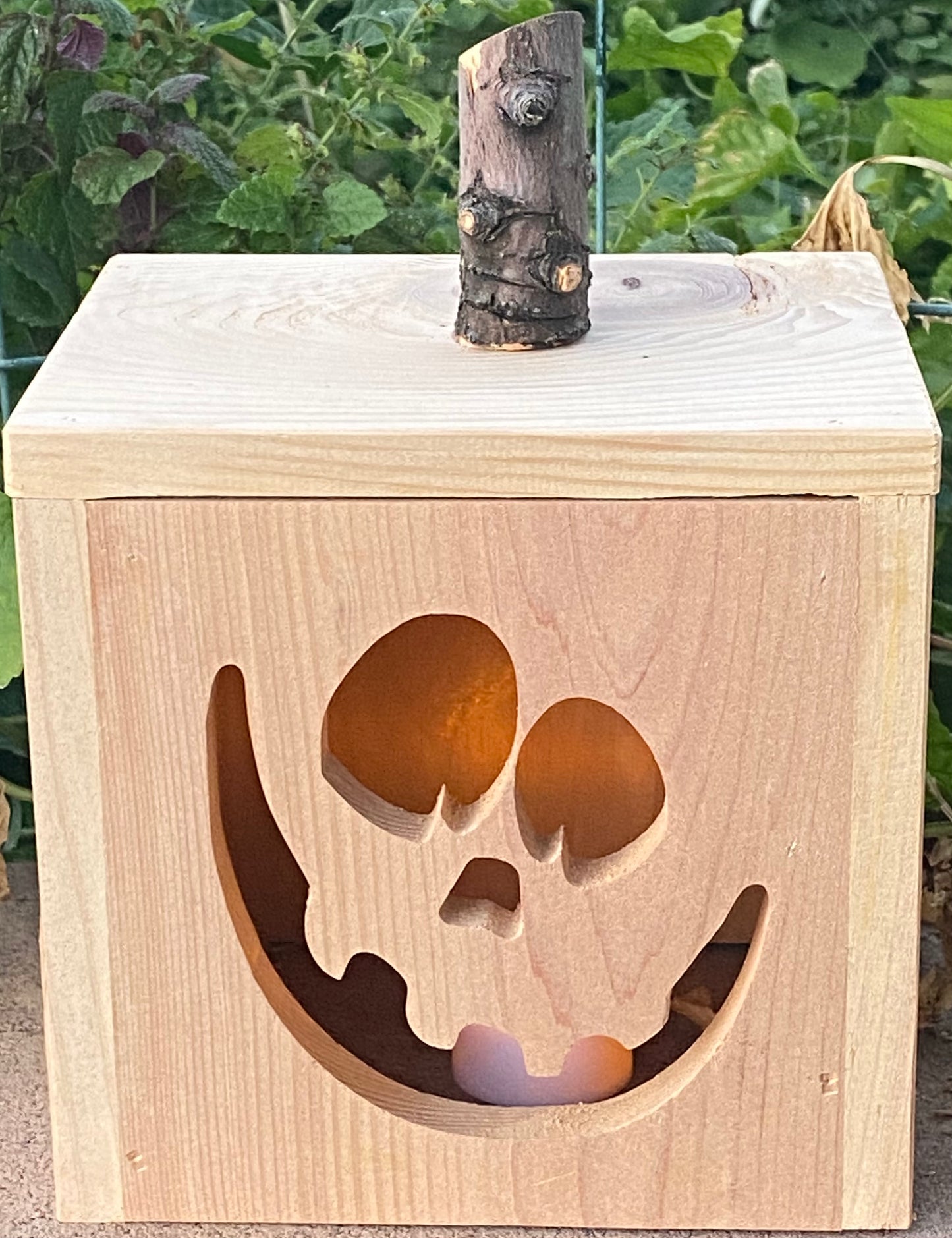 Jack-O-Lantern Face 2