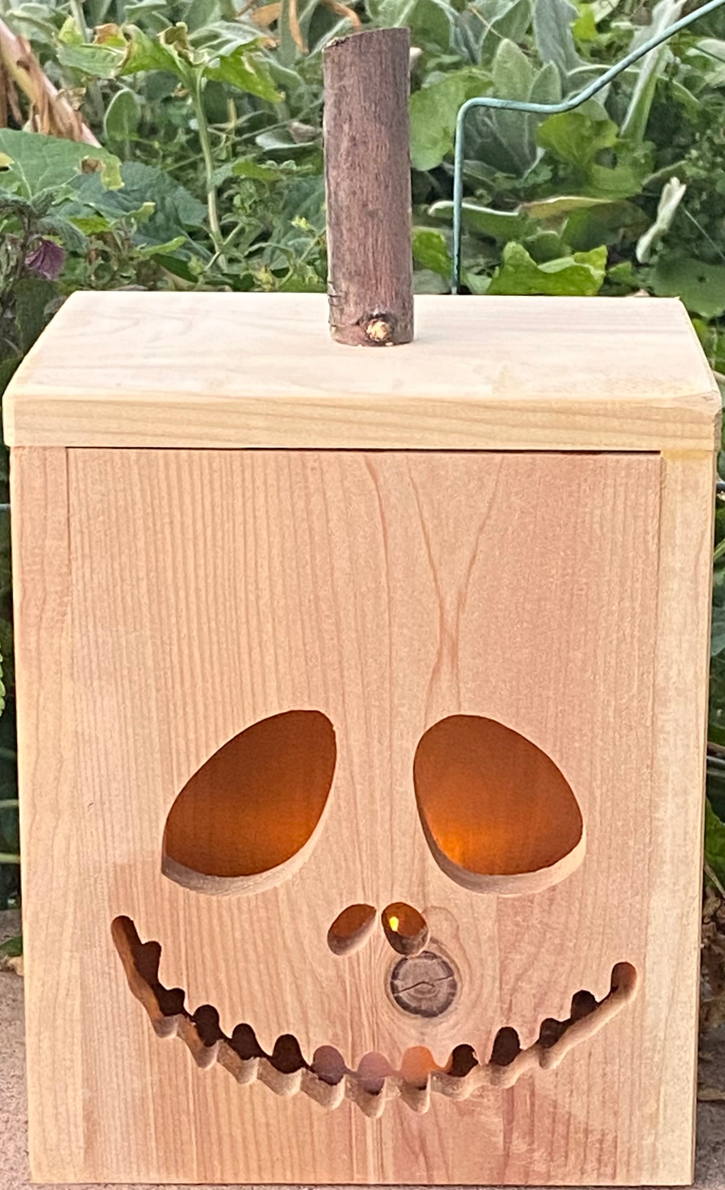 Jack-O-Lantern Face 5