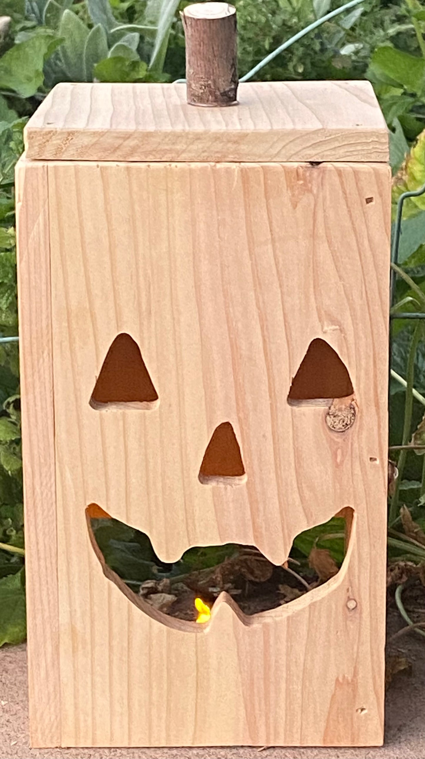 Jack-O-Lantern Face 1